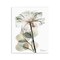 Stupell Industries Modern Minimalist Buds Wall Plaque Design by Albert Koetsier